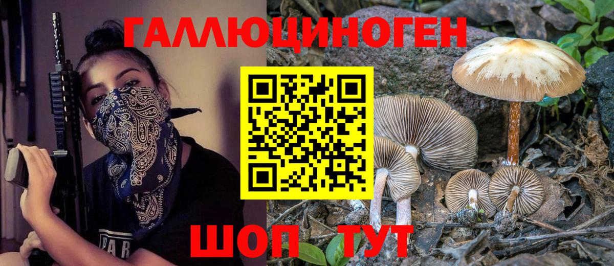 Галлюциногенные грибы Magic Shrooms Сланцы