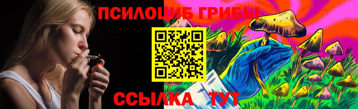 Галлюциногенные грибы GOLDEN TEACHER  закладки  Псилоцибиновые грибы прущие грибы  Сланцы  Вход с VPN 
